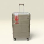 ICE lightweight Hardcase PP With 360 Degree wheels Trolley Luggage (Champagne)