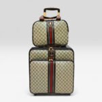 Luxury Canvas 18 Inch Trolley Luggage with Matching Beauty Box Set (LCD-01)