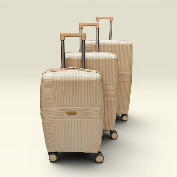 Partner Lightweight Polycarbonat Hard Shell Trolley Luggage D3 (Champagne)